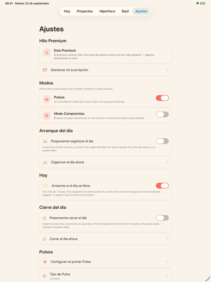 Ajustes en iPad